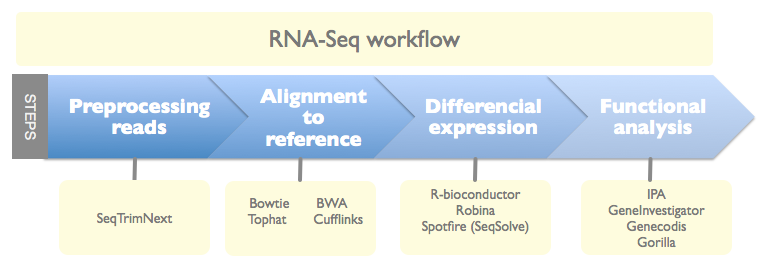 RNA Seq workflow