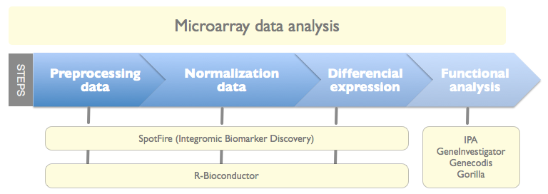 microarray workflow